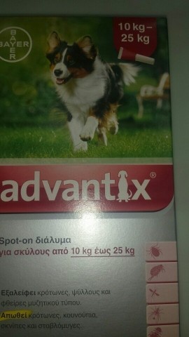 Advantix Spot On  Διάλυμα για Σκύλους 10 Εώς 25 Κιλά με 4 Πιπέτες