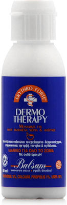 Erythro Forte Dermotherapy Balsam Cream Ενυδατική Κρέμα για Σκασμένο/Ξηρό Δέρμα, 60ml
