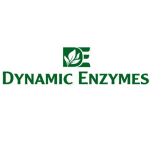 DYNAMIC ENZYMES