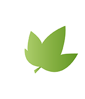 TILMAN