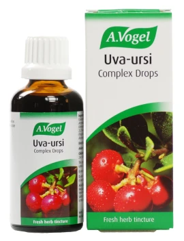 A.Vogel UVA-URSI,  Βάμμα από συνδυασμό των φρέσκων βοτάνων Uva-Ursi & Echinacea purpurea ,50ml