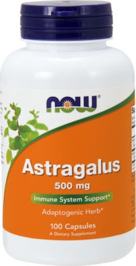 Now Foods Astragalus 500mg Συμπλήρωμα Διατροφής για Ενίσχυση του Ανασοποητικού 100Caps.