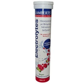 Lamberts Electrolytes Ηλεκτρολύτες με Γεύση Βατόμουρο 13eff.tabs