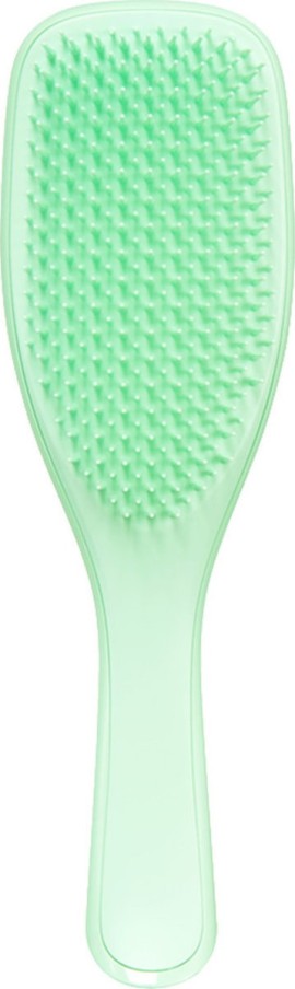 Tangle Teezer The Wet Detangler Neo Mint Βούρτσα Μαλλιών