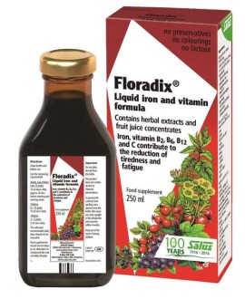 Power Health Floradix Φόρμουλα Υγρού Σίδηρου 250ml