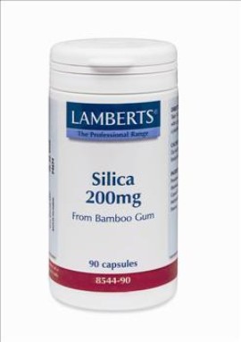 Lamberts 200mg Silica 90caps