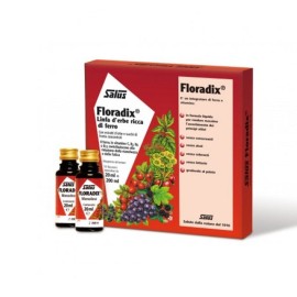 Power Health Floradix Συμπλήρωμα Διατροφής Σιδήρου 10x20ml