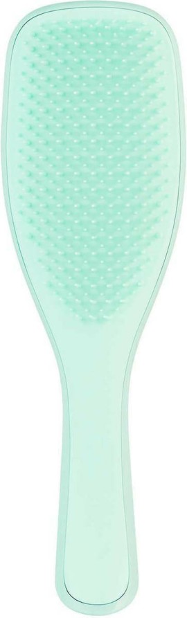 Tangle Teezer Wet Detabgler Fine & Fragile, Βούρτσα για Λεπτά & Εύθραυστα Μαλλιά, Mint 1 Τεμάχιο
