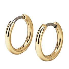 Verame Nina Gold Υποαλλεργικά Σκουλαρίκια (Χρυσό χρώμα)